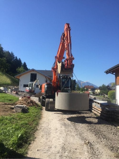 Baumtransport
