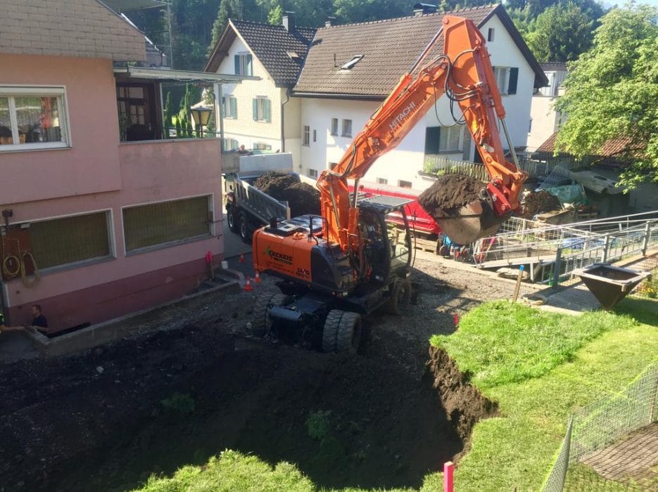 Problembaumfällung_Keckeis-Forstbetrieb