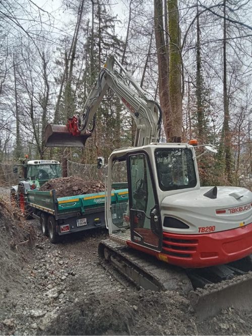 Baumtransport