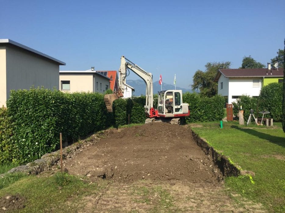 Problembaumfällung_Keckeis-Forstbetrieb