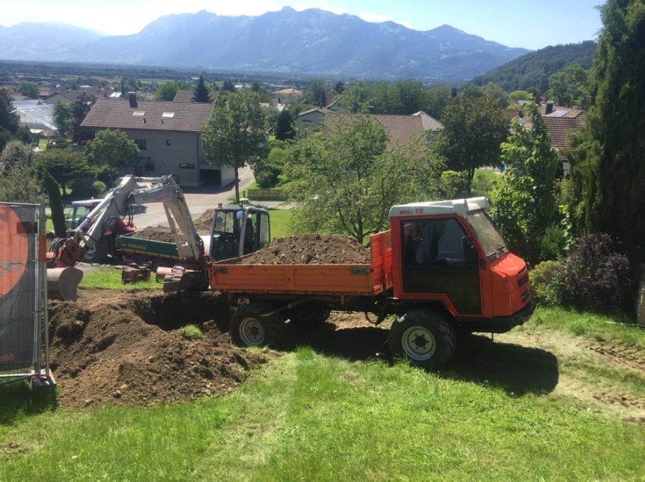 Baumtransport