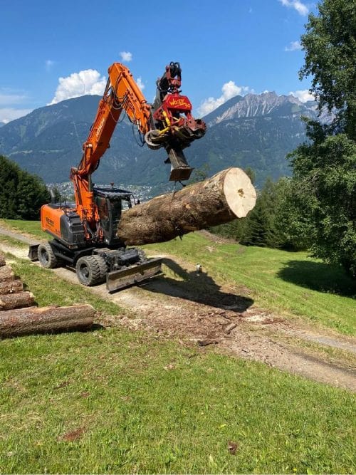 Baumtransport