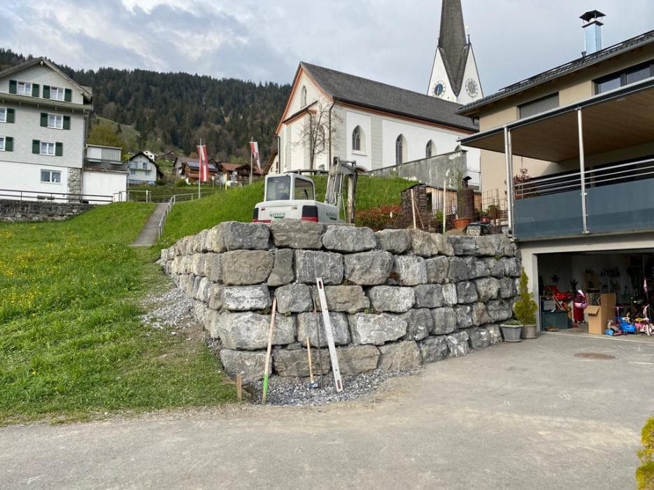 Problembaumfällung_Keckeis-Forstbetrieb