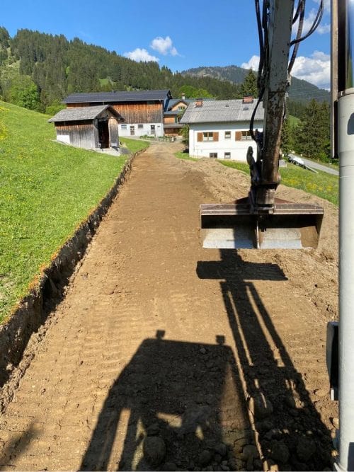 Baumtransport