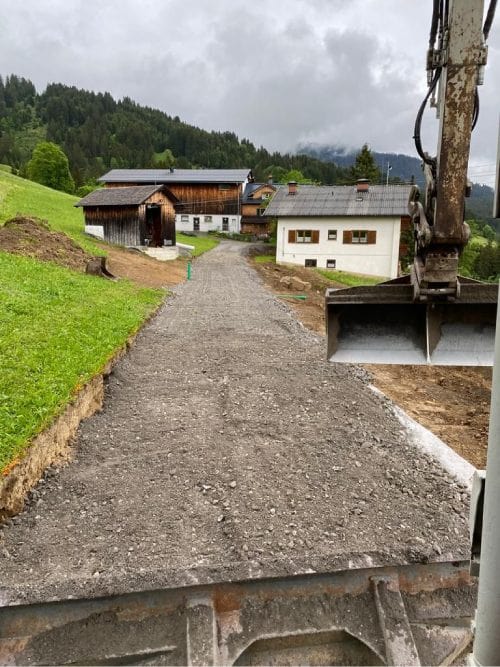 Problembaumfällung_Keckeis-Forstbetrieb