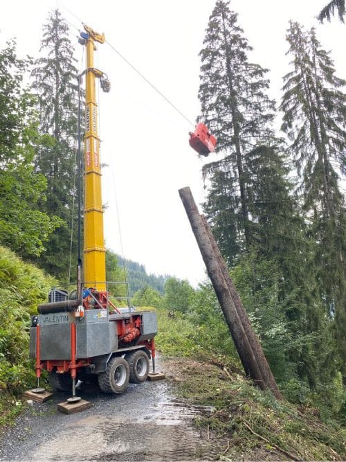 Baumtransport